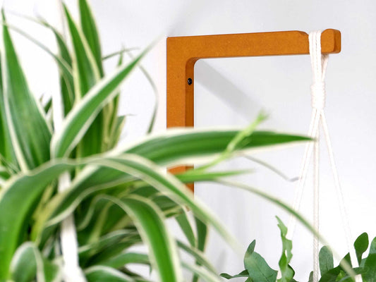 wooden plant wall hanger for trailing plants