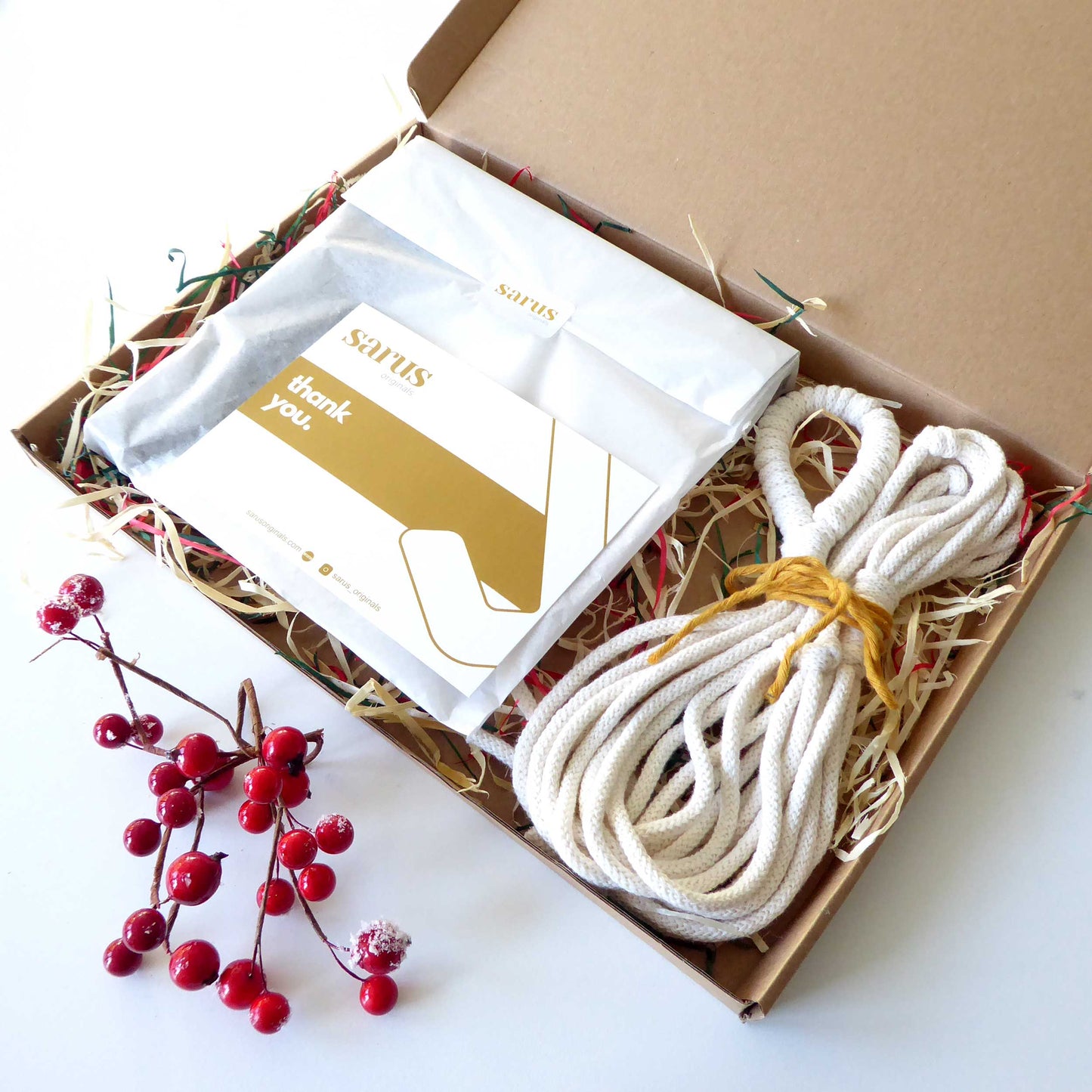 Plant lover Christmas gift set - macrame hanger and STEM plant hook set - various colours