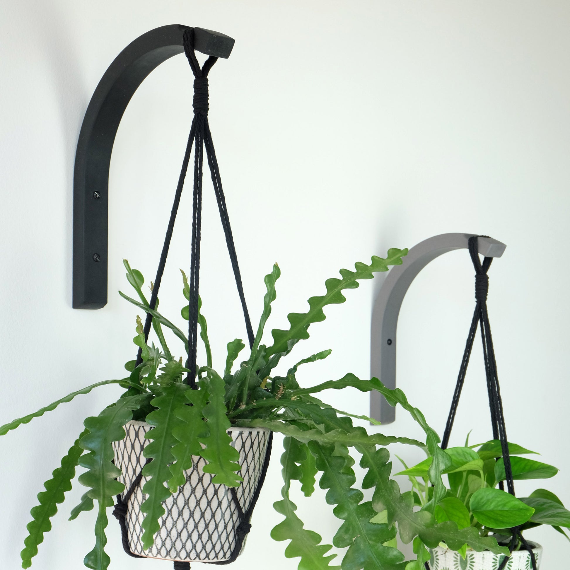 funky plant hanger for wall