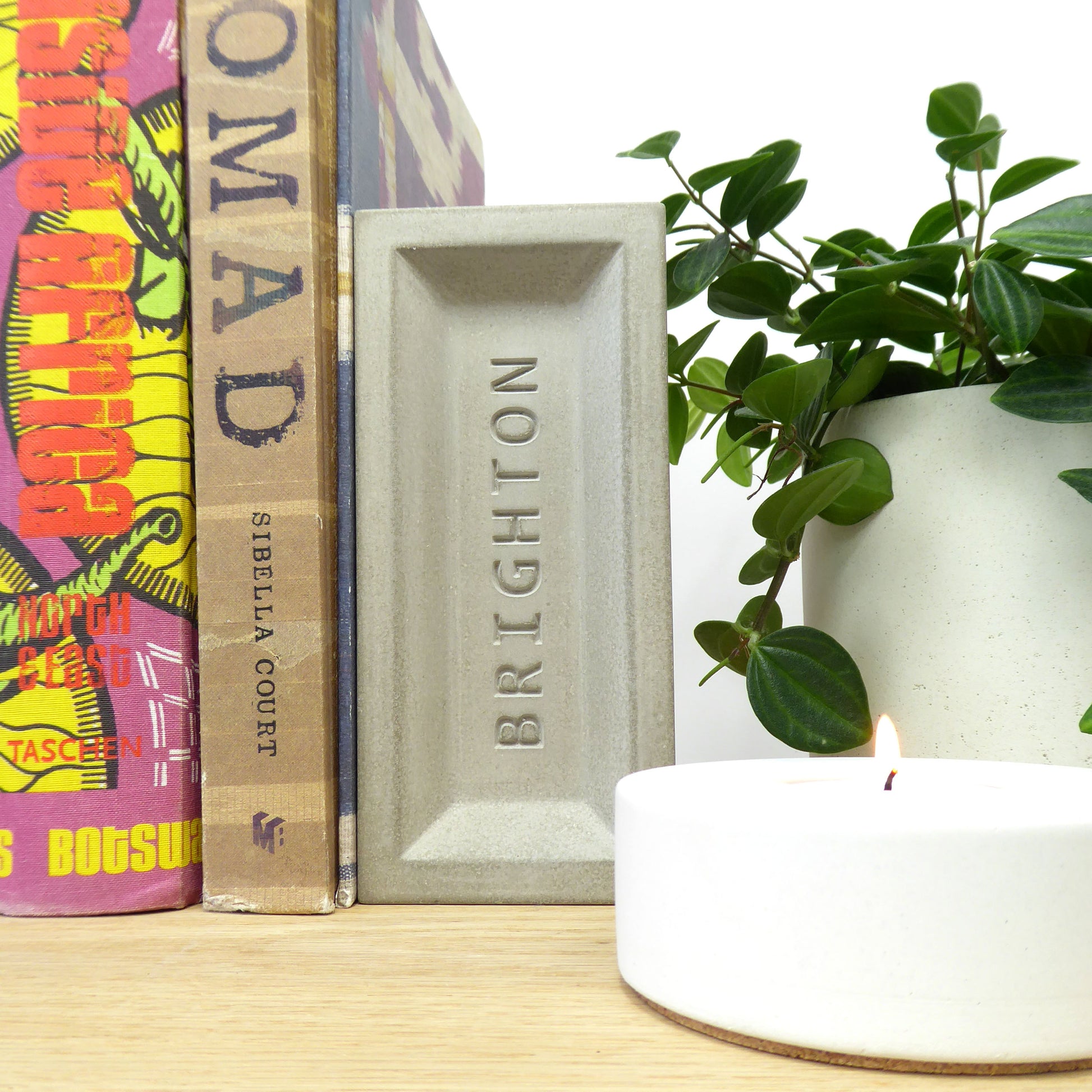 Books with a Brighton concrete book end and a houseplant on a wooden shelf