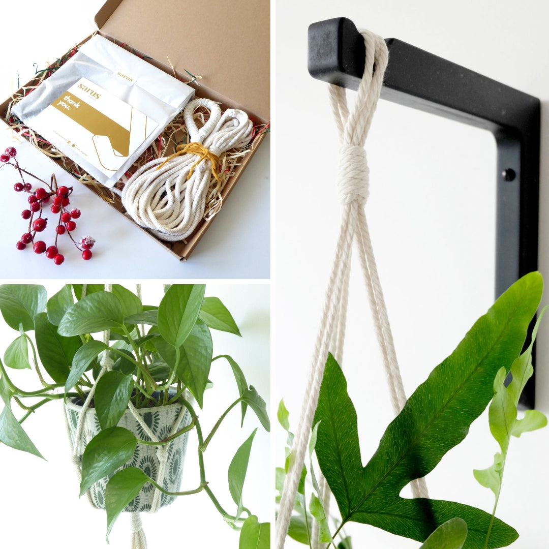 Plant lover gift set - macrame hanger and wooden plant hook - various colours