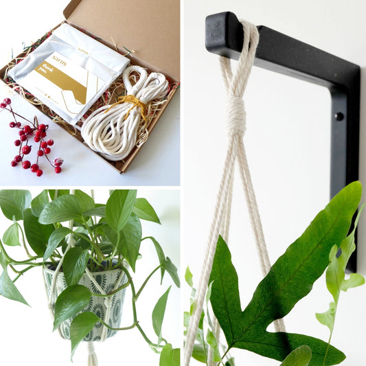 Plant lover gift set - macrame hanger and wooden plant hook - various colours