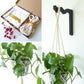Plant lover gift set - macrame hanger and wooden plant hook - various colours