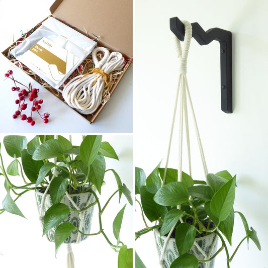 Plant lover gift set - macrame hanger and wooden plant hook - various colours