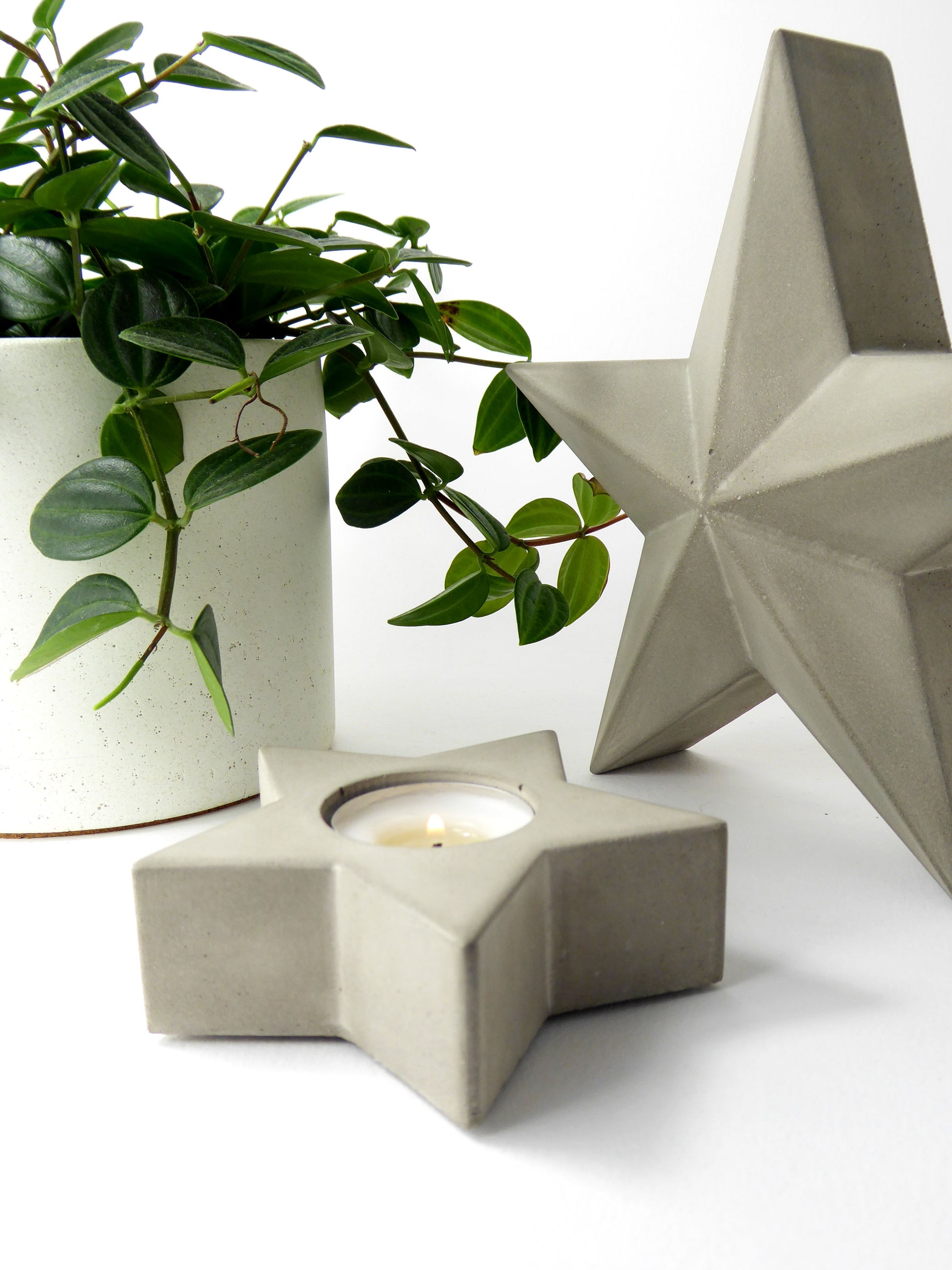 Concrete star-shaped tea light holder with a lit candle next to a potted house plant on a white background