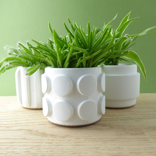 Set of 3 white textured plant pots with small succulent plants on a wooden shelf