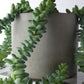 Indoor concrete planter  - natural grey or white