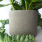 Hand poured indoor concrete plant pot  - natural grey or white