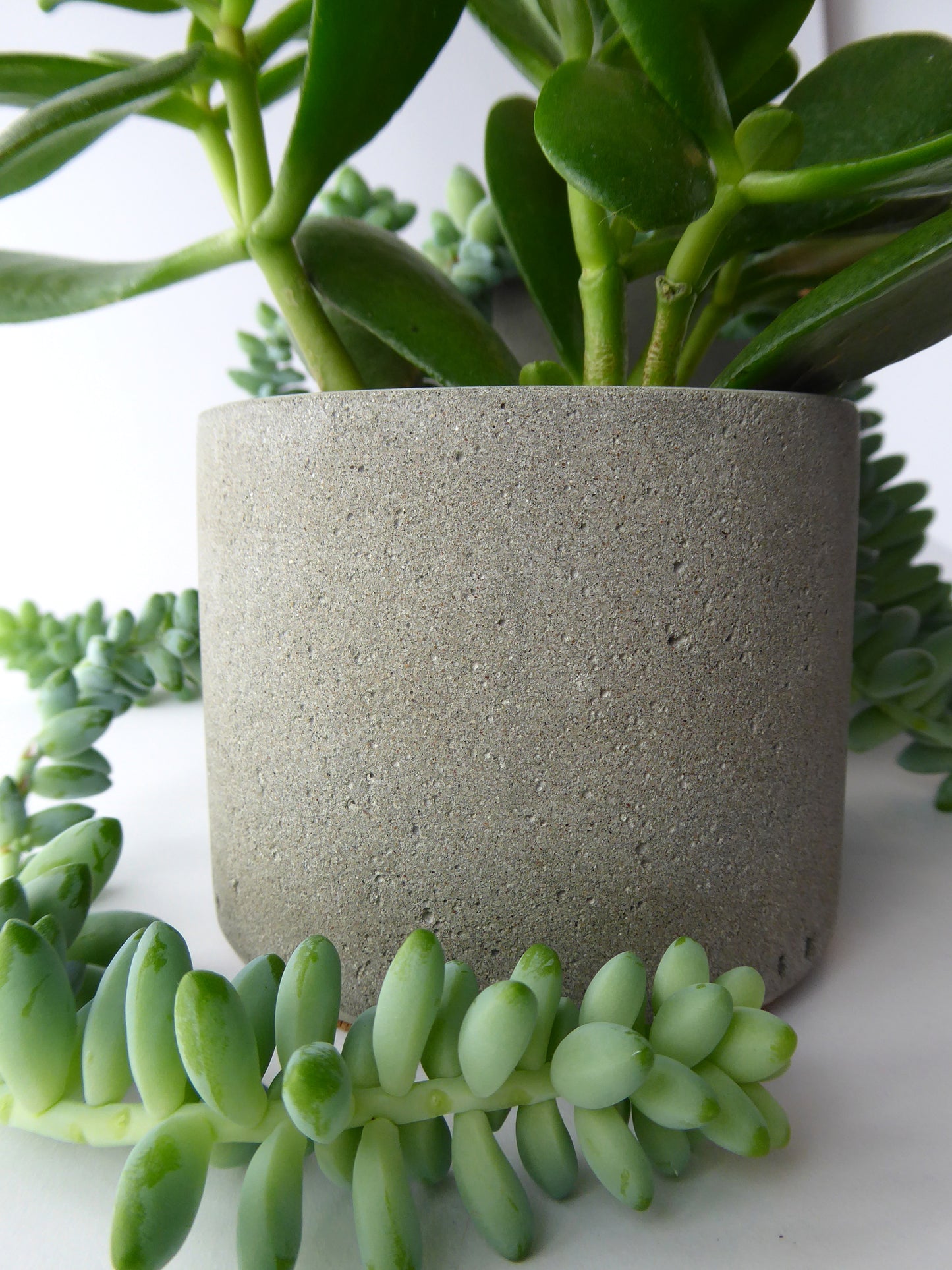 Hand poured indoor concrete plant pot  - natural grey or white