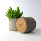 Concrete indoor plant pot for cacti & succulents - natural grey or white