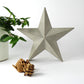 Large grey concrete decorative star with a plant and pinecones on a white background