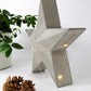 Concrete star-shaped freestanding ornament with festive string lights on a white surface with a plant and pinecones.