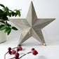 Decorative star with string lights on a white surface next to a plant and Christmas red berries.