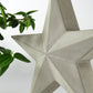 Concrete star-shaped ornament with a plant in the background