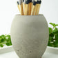 Natural concrete match stick holder with coloured matches on a white surface with greenery in the background