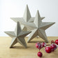 Three star-shaped grey concrete decorative stars on a wooden shelf with festive red berries.