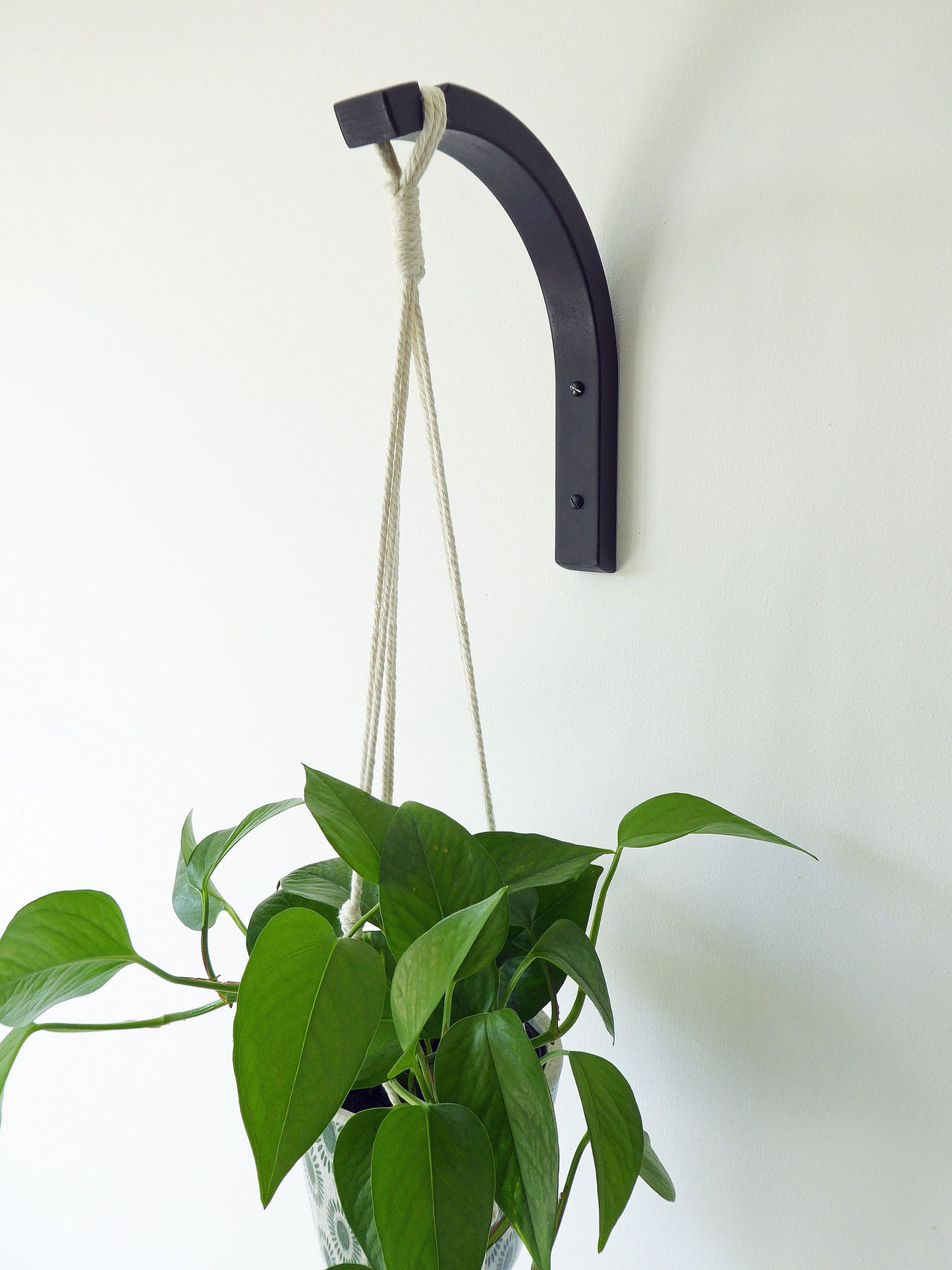 Hanging wooden plant bracket with a houseplant plant mounted on a wall