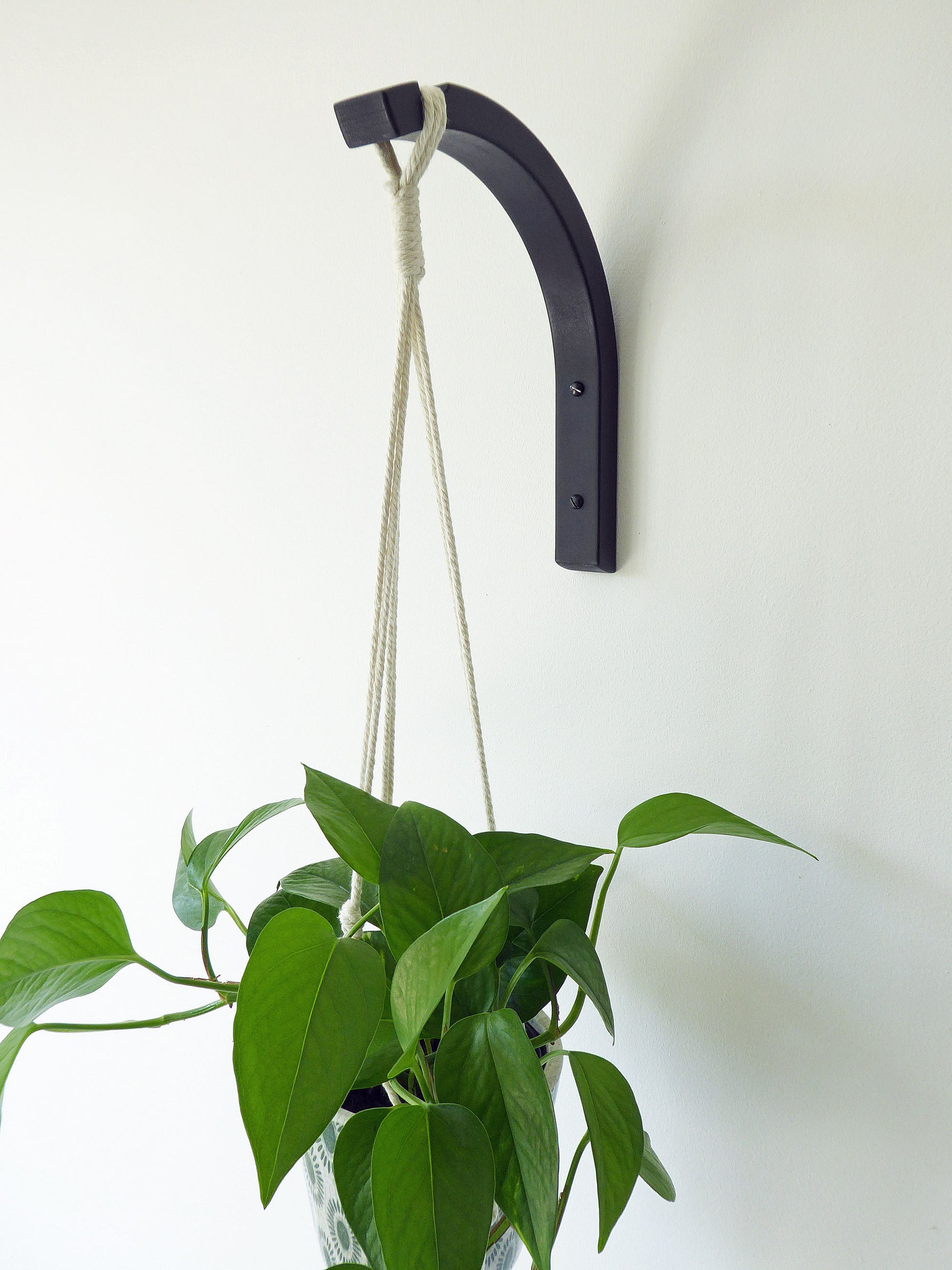 Hanging wooden plant bracket with a houseplant plant mounted on a wall
