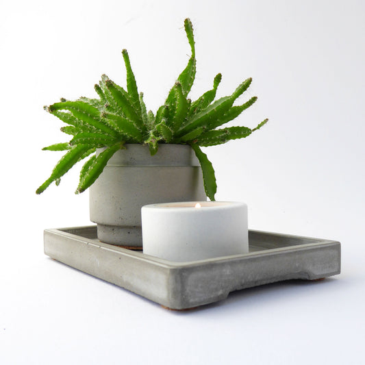 Cactus plant in a raw concrete plant pot on a matching concrete tray with a white tea light holder.