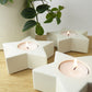 Star-shaped white candle holders with lit candles on a wooden shelf, with a plant in the background.