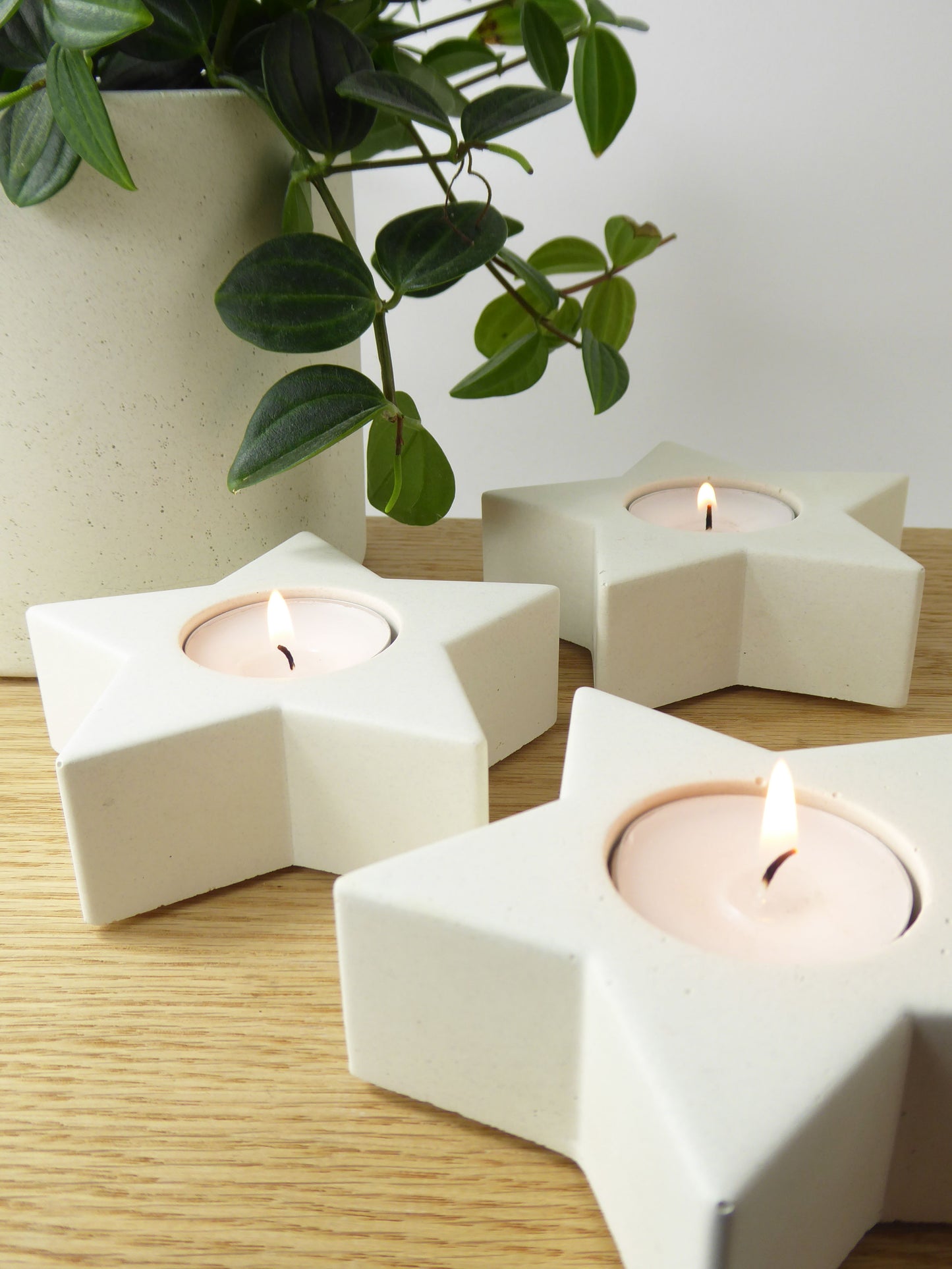 Star-shaped white candle holders with lit candles on a wooden shelf, with a plant in the background.