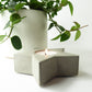 Concrete star-shaped candle holder with a lit candle and a green plant on a white background
