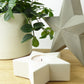 Star-shaped candle holder with a lit tea light next to a potted plant on a wooden coffee table