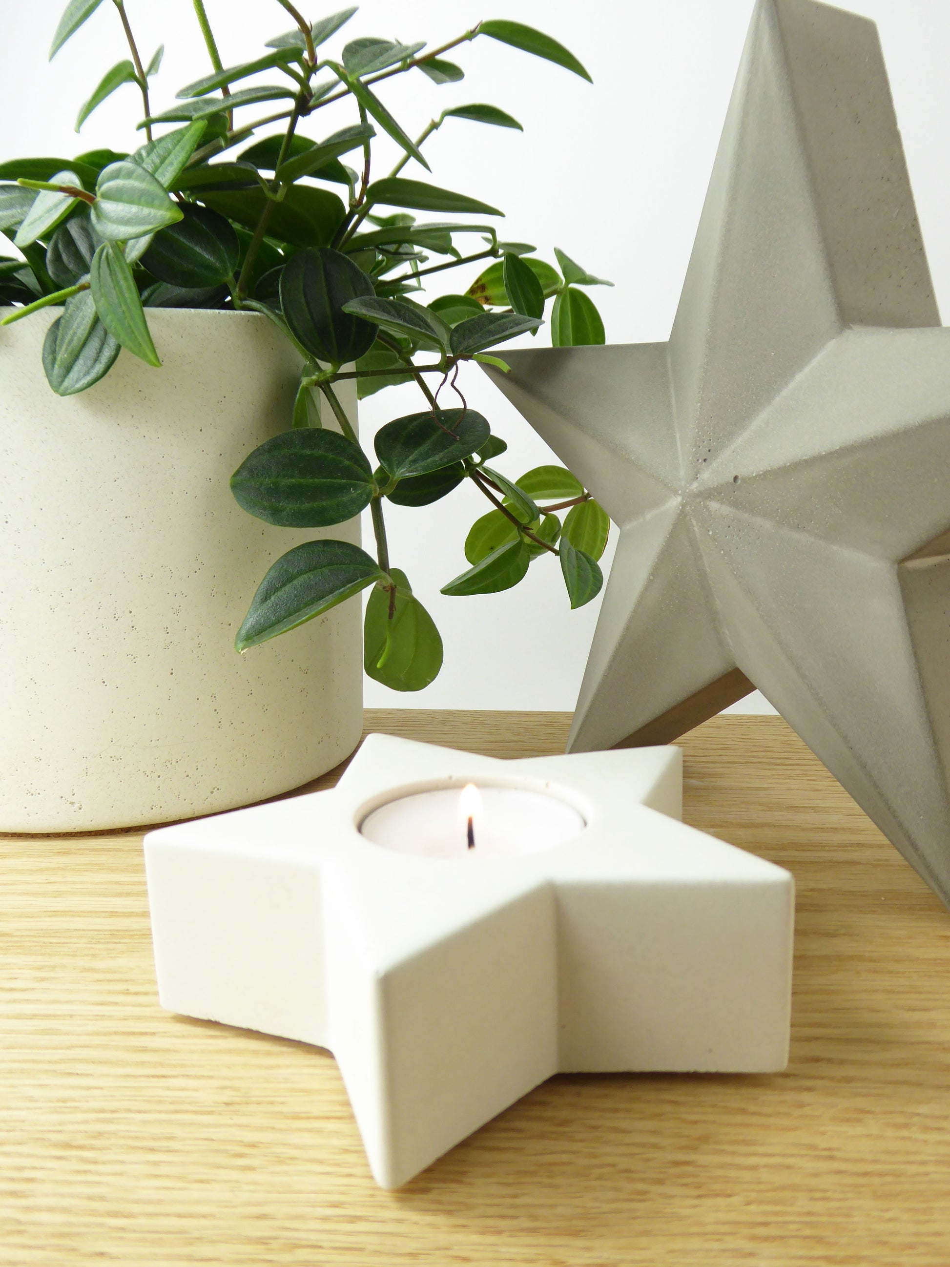 Star-shaped candle holder with a lit tea light next to a potted plant on a wooden coffee table