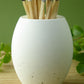 White concrete match pot with coloured long matches on wooden shelf with plant leaves showing