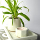 Rectangular concrete valet tray - natural grey or white