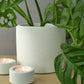 Indoor concrete planter  - natural grey or white