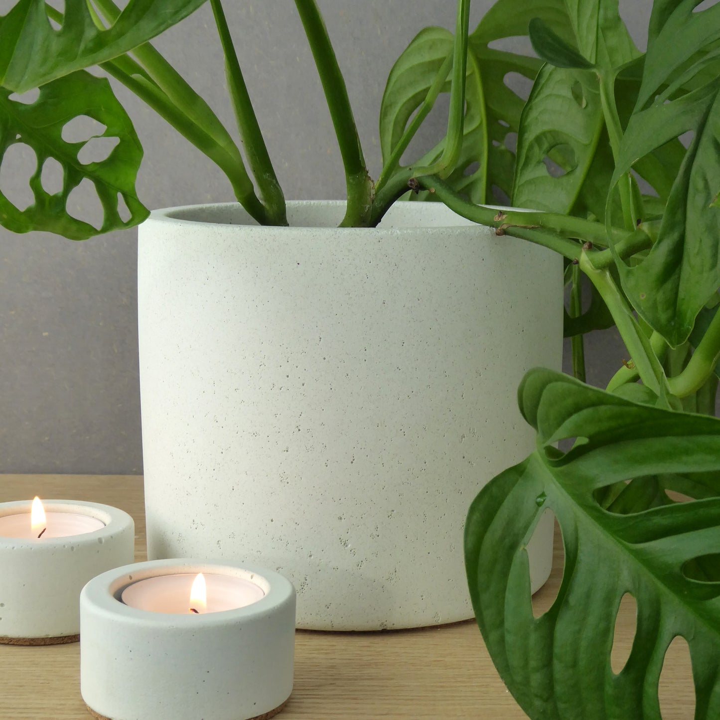 Indoor concrete planter  - natural grey or white