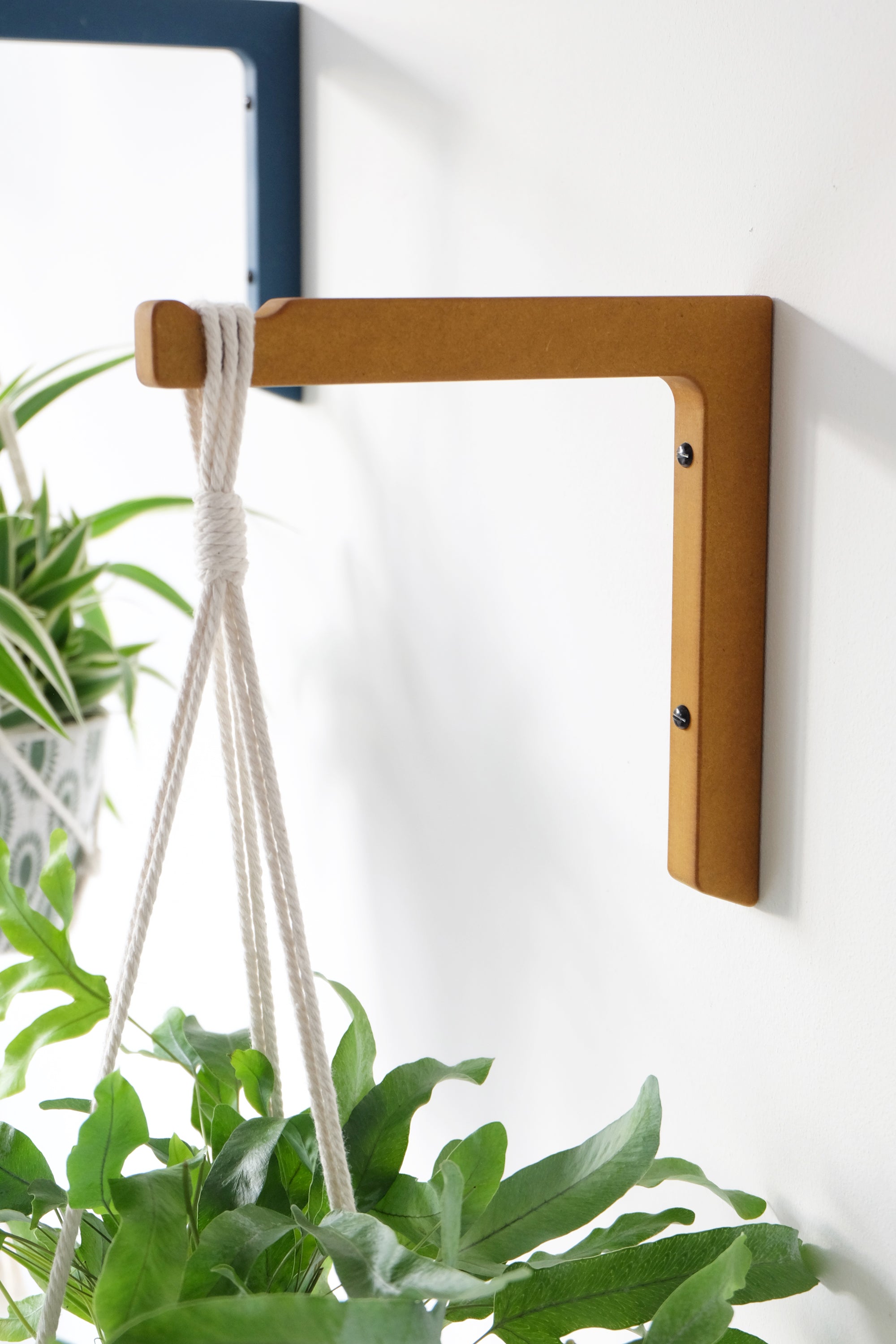 Wall plant outlet hangers